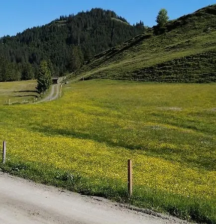 شقة Haus Jessica Incl National Park Sommercard ميترسل