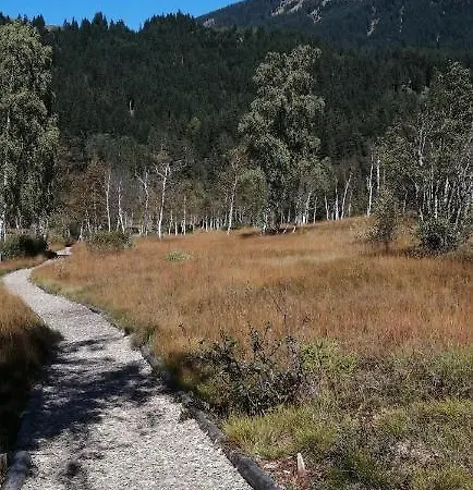 Haus Jessica Incl National Park Sommercard 公寓 米特西尔