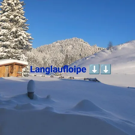 Haus Jessica Incl National Park Sommercard شقة ميترسل