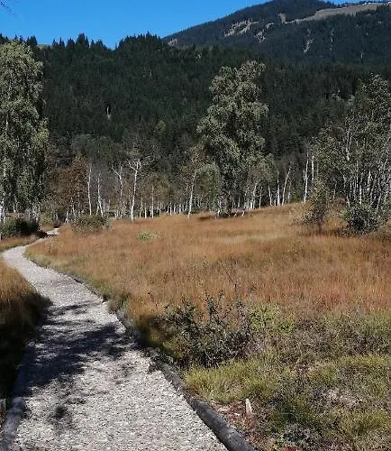 Haus Jessica Incl National Park Sommercard 아파트 미테르질